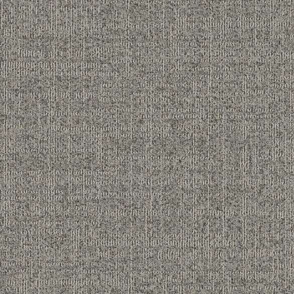 Dune 901